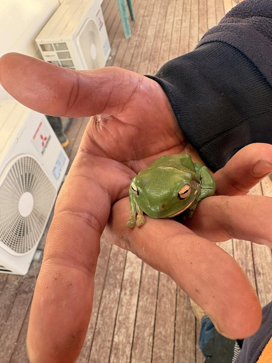 EmmaPetrosc0's tweet photo. 予期せぬ出会いがもたらす沈黙は、普段の喧騒よりもずっと饒舌で、不思議と心を落ち着かせてくれる。 https://t.co/tJDYP0Ovjq
