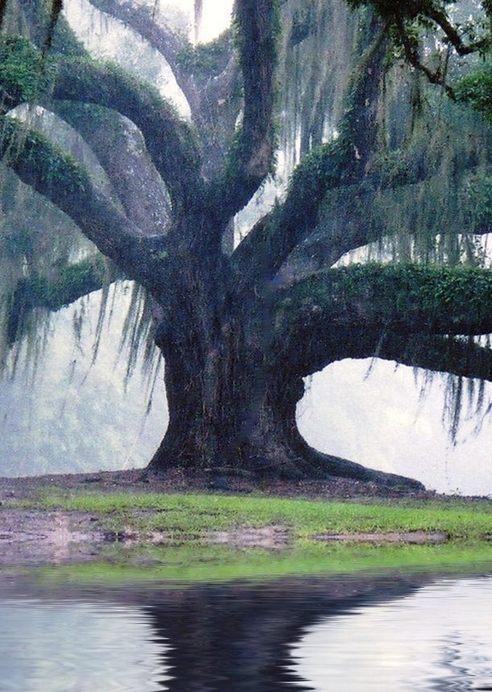 ProgRamk6's tweet photo. Seeing a waterfall up close hit me right in the soul.... Never underestimate the power of a good green tea. https://t.co/mYK1LOx7QU