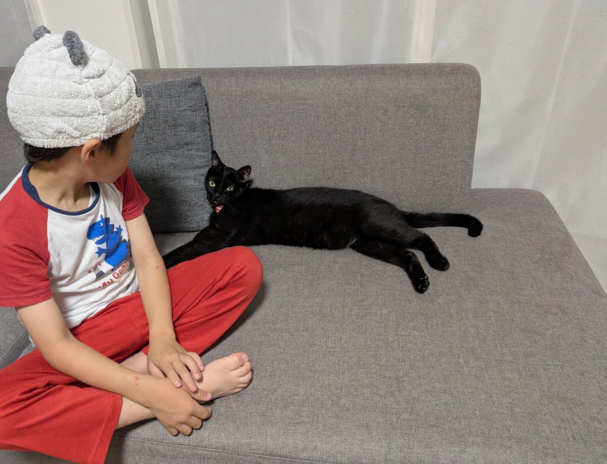 konekowohirotta's tweet photo. 3025日目。
ちょっと眠たくてウトウトしてた黒猫。
通りすがりの7歳兄と5歳妹をホイホイしてナデナデを存分に堪能していた https://t.co/OkAM16vP4T