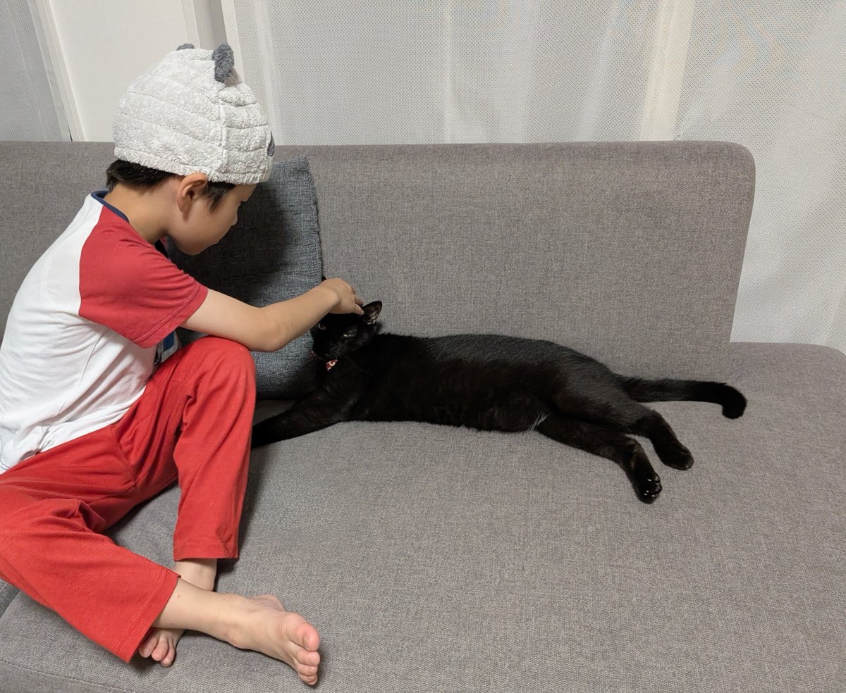 konekowohirotta's tweet photo. 3025日目。
ちょっと眠たくてウトウトしてた黒猫。
通りすがりの7歳兄と5歳妹をホイホイしてナデナデを存分に堪能していた https://t.co/OkAM16vP4T