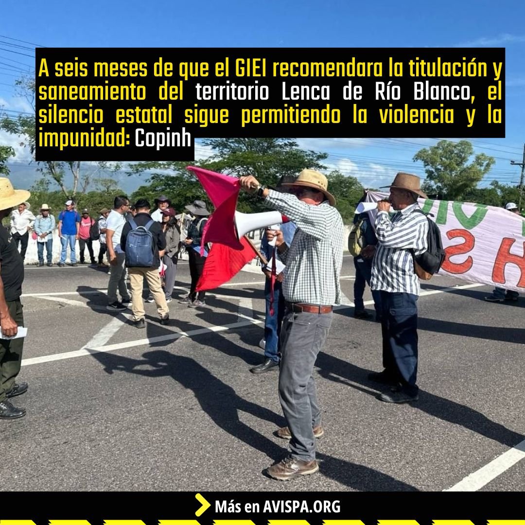 Avispa_Midia's tweet photo. El Consejo Cívico de Organizaciones Populares e Indígenas de #Honduras denunció que por cuarta vez en el año, la comunidad de #RíoBlanco fue atacada a través de la destrucción de cultivos en sus tierras ancestrales recuperadas

👉 https://t.co/AVybopchbZ 🐝

#Copinh https://t.co/6qfzE4Kypf