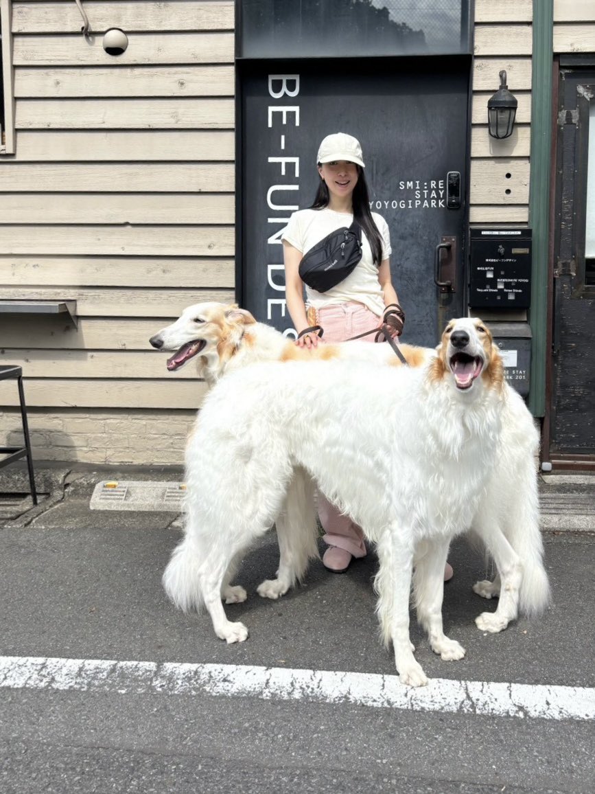 velzoi's tweet photo. 一年半でこんなに大きくなりました💯🌸 https://t.co/K9sqLPkGK2