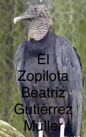 Guacamayalibre's tweet photo. @avieu 
@BeatrizGMuller @lopezobrador_ 

El famoso y mítico billete de $200 pesos que traía @lopezobrador_
@lopezobrador_@BeatrizGMuller
@monsivaisquotes
en su cartera.
#LaPerritaDeMonsiváis
#MeGansoGanzo
@lopezobrador_
#Zopilota
@BeatrizGMuller
@amlopezbeltran
@_JRLB_
@jrlopezobrador
@piochiapas @ManuelaObradorN
@Felipa_Obrador
se sirvieron con la cuchara grande, con razón son el
#CartelDeMacuspana #Tabasco