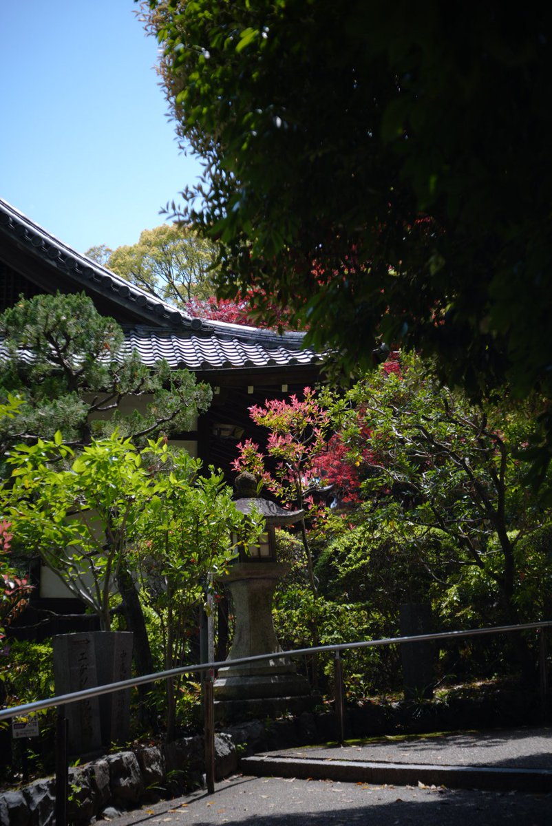 masayasu_photo's tweet photo. NIKON Zf
INDUSTAR 50-2 50mm F3.5
#sooc https://t.co/rIjdEGyEVj