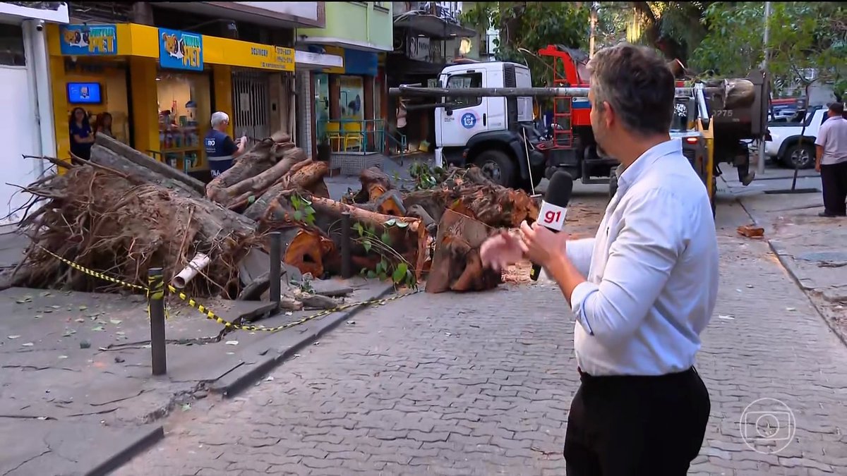 ZAMENZA's tweet photo. A figueira centenária perto da Praça Sans Peña, no RJ, com o tronco imenso de grosso e as raízes dela finíssimas e todas cortadas e com um cano de pvc atravessando elas. O que a derrubou não foi o vento de 100km/h, foi esse crime que fizeram com ela. https://t.co/tupDxBnVqi