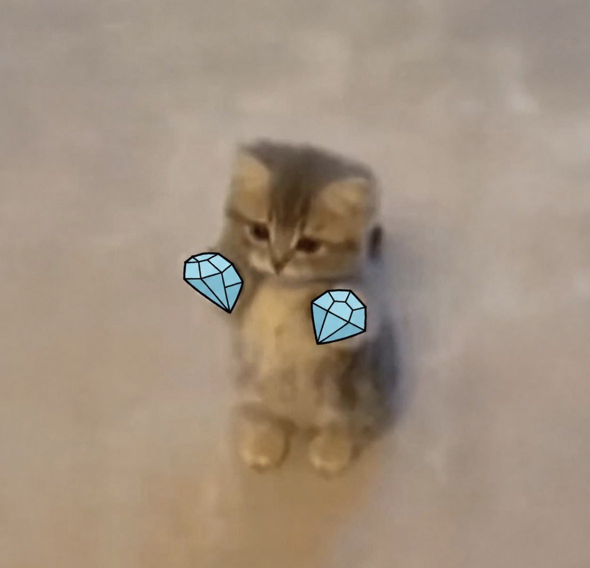 BigKSoCool's tweet photo. Michi? 

Na bro we diamond wiwiwiwiwiwiwiwi

$wiwiwi is the the pfp cult cat runner we been waiting years for since michi

And this time the focus is on cats so it makes sense to super run this https://t.co/1wIcmZ0WBJ