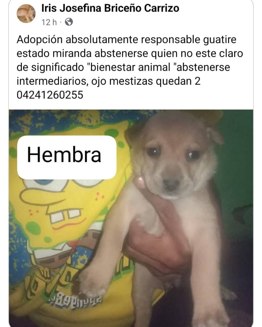 yaracalcagno's tweet photo. Urge un hogar responsable. https://t.co/aFQE1ZHCp2