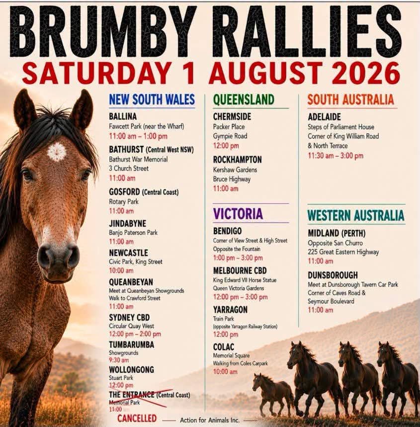 KylieJane475183's tweet photo. Save the brumbys rally
#savethebrumbys #rally #stopthecull https://t.co/yPYPFsXufO