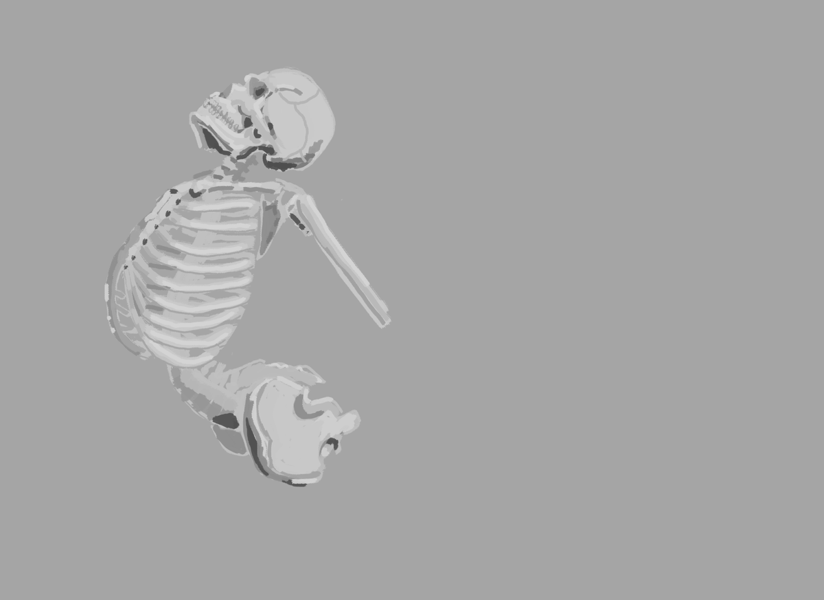 Cristgor01's tweet photo. #anatomie https://t.co/GYwZUKH4ru