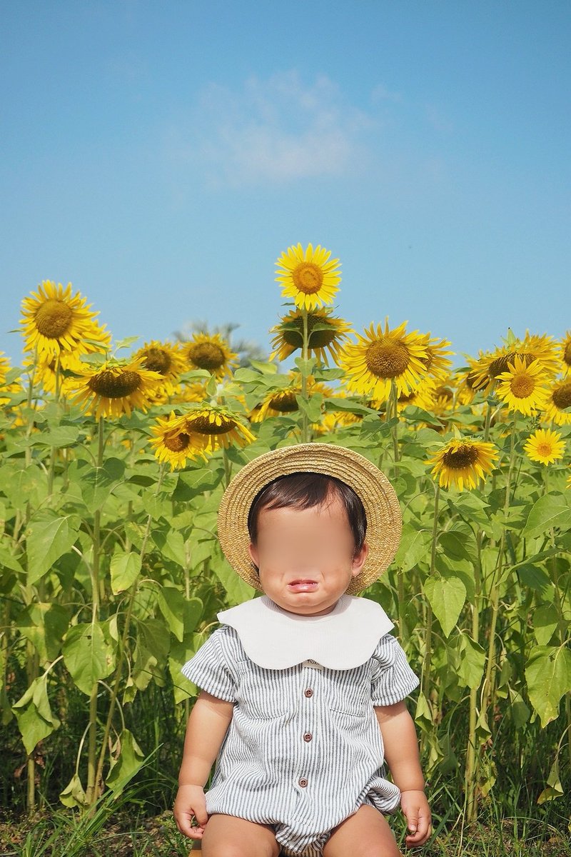 jandk1027's tweet photo. 今回も息子と一緒に🌻
暑さと眠さ？と帽子嫌いのせいか
公園着いてから超不機嫌だったんだけど
普段の撮影ではあまり撮れないような
おもし………親的には可愛い表情が撮れて
今しか残せない写真でこれはこれで大満足(笑)
帰ってパパに見せて大爆笑でした、ごめんね
頑張ってくれてありがとう😂 https://t.co/KVWetSHK9o