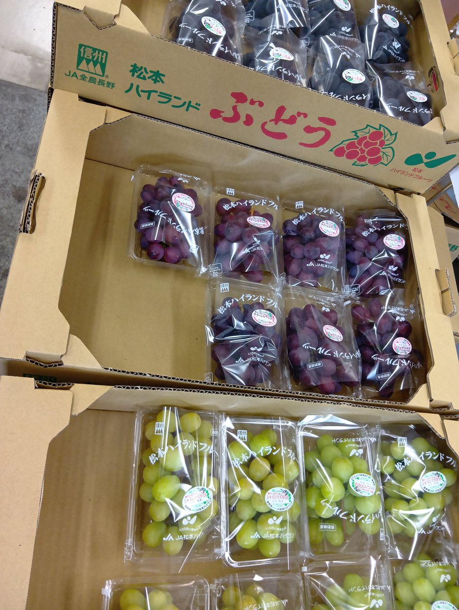 fg_yamabe's tweet photo. ハウス栽培のぶどう🍇が入荷しました。シャインマスカット、ナガノパープル、黄華、クイーンルージュ等〜種無しで皮ごと食べられる品種です。
#山辺ワイナリー　#ファーマーズガーデンやまべ　#農産物直売所
#ぶどう https://t.co/mp4b6agrnc