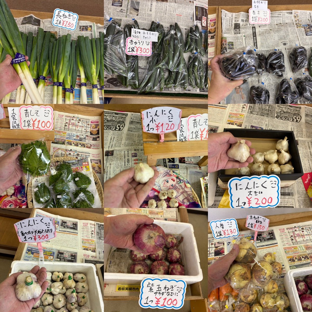 ryo4503's tweet photo. おはようございます
\( ´ω` )/🥒🧄🍅🥦
昨日 朝採りキャベツを 卵とじで食べたのですが
柔らかくて美味しかったです
朝10時ゆうゆう
野菜直売所開店です
商品のお問い合わせは
090-9438-1831にて
お願いします
#湧別
#野菜直売所
#野菜
#切り花
シソジュースなどに
#赤紫蘇 https://t.co/YQvRa1Y4h7