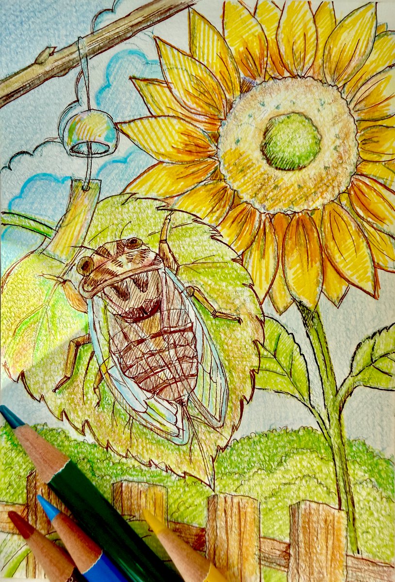 maron9joe's tweet photo. 「盛夏の一筆」
暑すぎて•貴方もバテる•午後三時

#蝉 #アナログイラスト #色鉛筆アート 
#絵描きさんと繋がりたい https://t.co/OFzxpkzY1Z