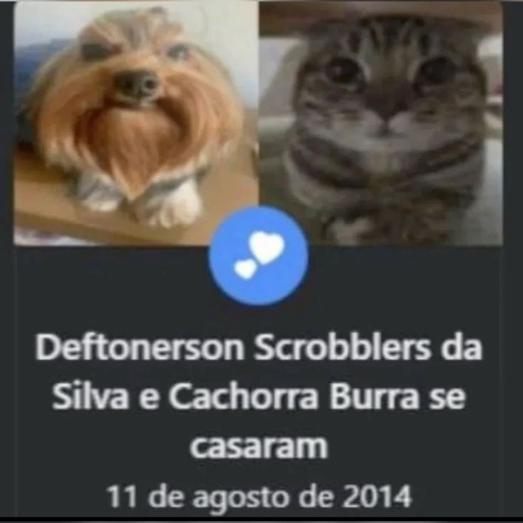 susgovbr's tweet photo. fofos https://t.co/QFnMlsXln1