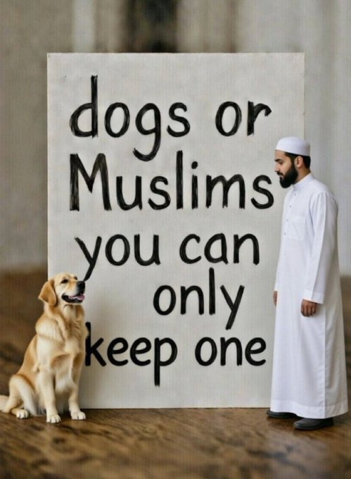 SeaFog090m's tweet photo. Pick one ?  A. Dogs B. Muslim Sharia Law Supporters https://t.co/mh9rgGpLPk