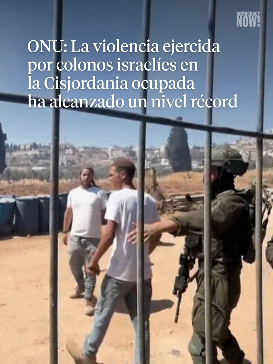 DemocracyNowEs's tweet photo. Las Naciones Unidas advierten que los actos de violencia perpetrados por colonos israelíes en los territorios ocupados de Cisjordania han alcanzado un nivel récord. Un total de 18 palestinos han muerto en ataques de colonos en lo que va del año, en comparación con los 17 que murieron a lo largo de todo el 2025. Esto se produce después de que el gabinete de seguridad de Israel aprobara a principios de este año un fondo de más de 430 millones de dólares para financiar la construcción de 34 nuevos asentamientos en los territorios ocupados de Cisjordania.