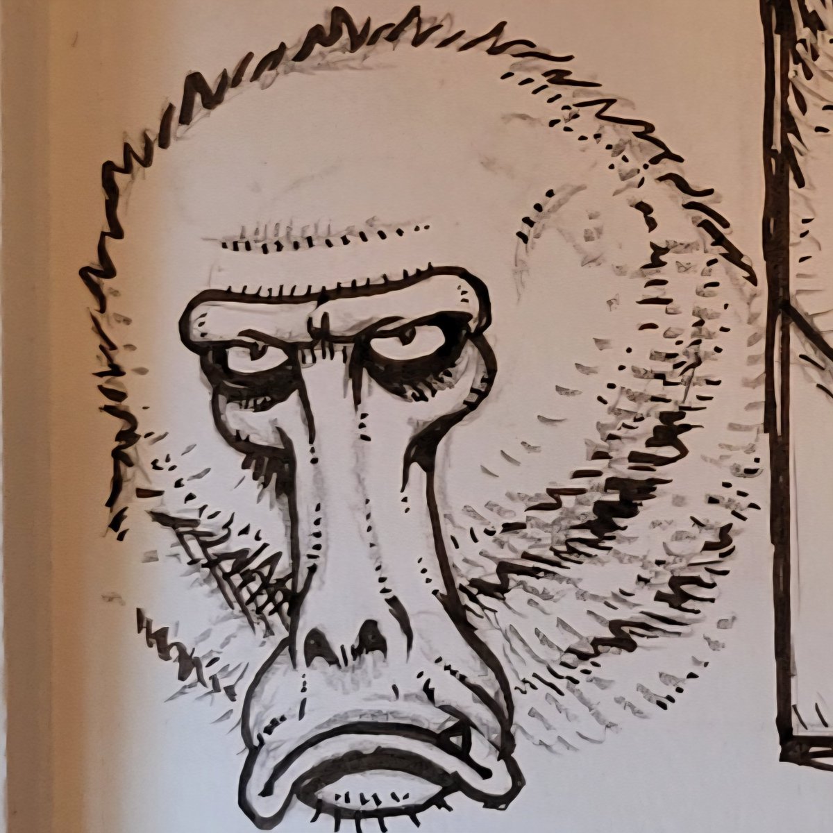 Ralo5's tweet photo. Baboon https://t.co/0nICFNkK9U