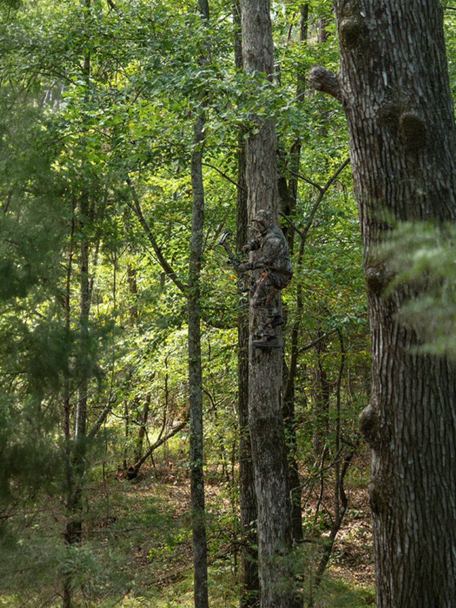 Realtree's tweet photo. The first morning back in the stand is right around the corner. 

#RealtreeAPX #Realtree https://t.co/Mqguk9ArZ7
