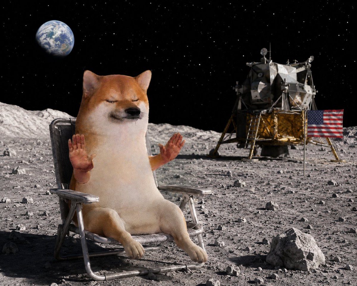 trustbroPF's tweet photo. @TheFlexZone8 @0xCryptoshi https://t.co/QsfLVT1O9N