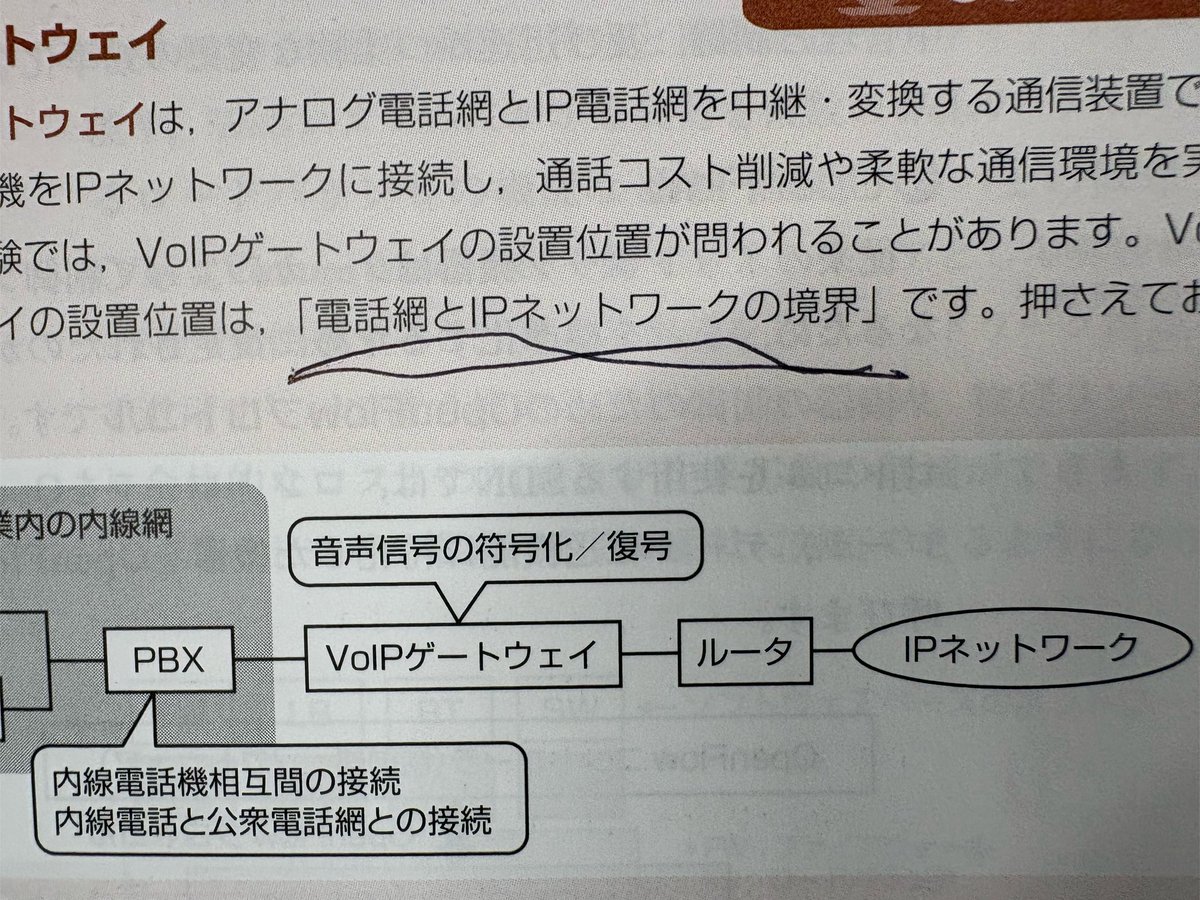 そら tweet media