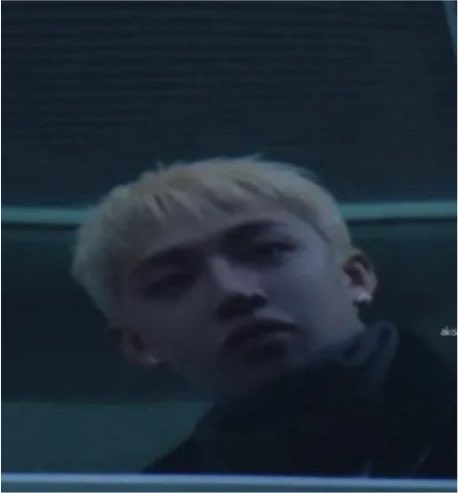 brudochn's tweet photo. I always laugh when i see this pic lmao look at this pup looking at itself in the reflection he’s so cute bye 😭😭 https://t.co/FM007XZDbS