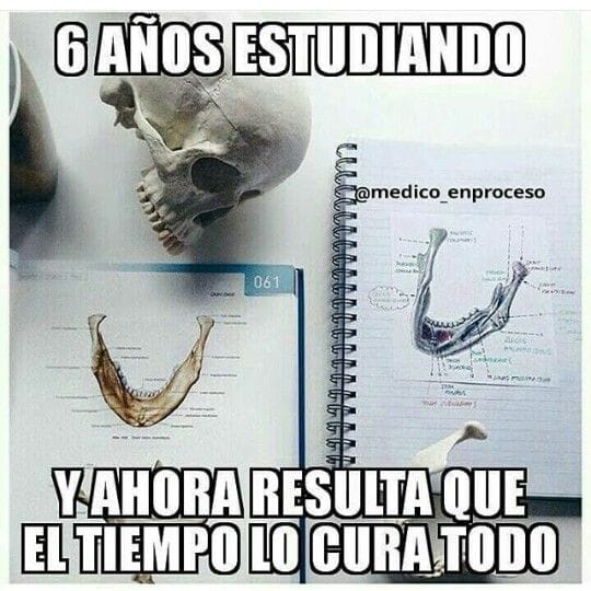 EnsedeCiencia's tweet photo. vaia, vaia https://t.co/lfmEo7dEL1