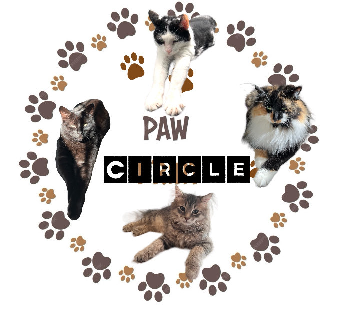 gorillababe's tweet photo. @Andrea56822453 Oh sweet Kevy 😔 We’re so sorry to hear dis, sweet baby 🥺All our paws are in fur mew and we are sending prayers up above 💖 https://t.co/gm22XcQ2KK