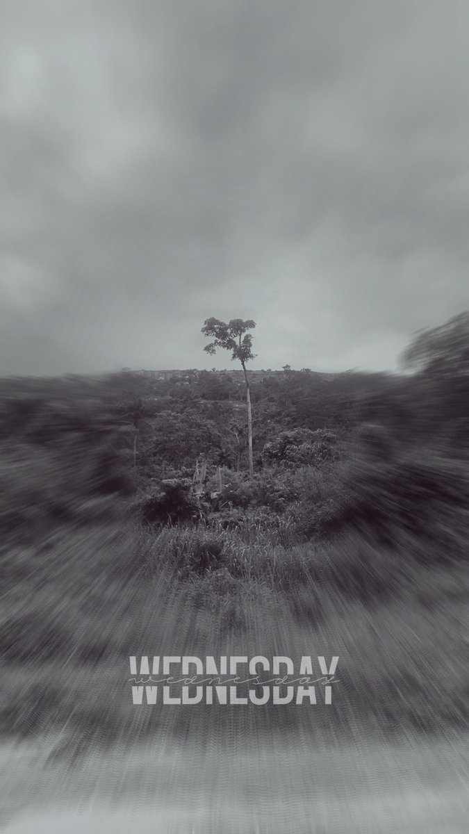 ItsLeoWeb3's tweet photo. Lost in the silence, found in the moment. 
Gm guys, who’s active? https://t.co/nhgPTtSZKP