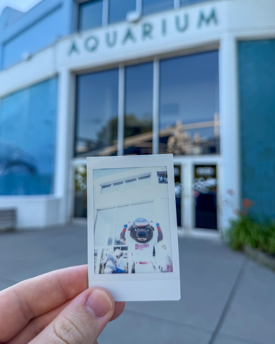 AqNiagara's tweet photo. About last night 🖼️ 

Thank you to all of our guests, community partners, and staff for another successful Party on the Plaza! https://t.co/5yssPvIuuw