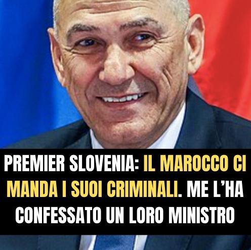 henry_venis's tweet photo. @GiorgiaMeloni Bisogna sanzionare il Marocco con i dazi commerciali come prescrive la dotrina Trump non blocchi assassini stupratori ladri paghi i dazi come risarcimento non li riprendi paghi i dazi ti stritolo la tua economia . https://t.co/DxWLXe2Ik7