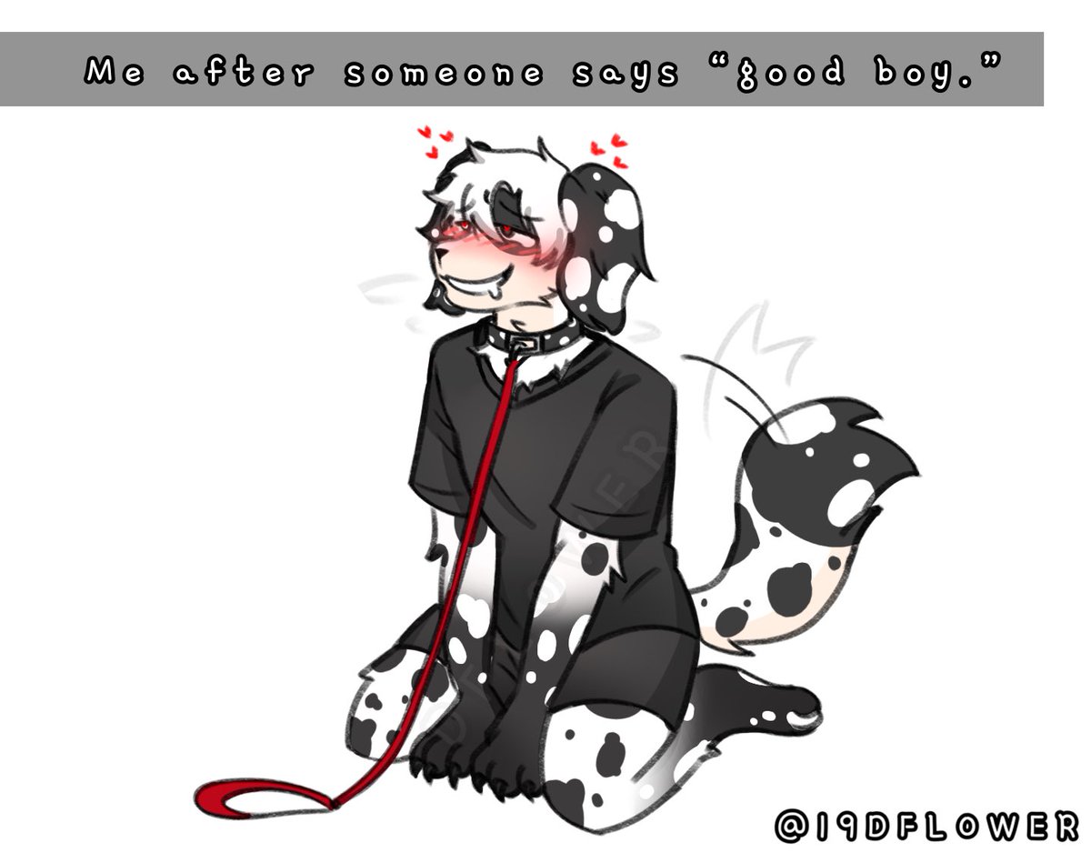 🖤DFlower_19🐾🤍 Comm opens ✨ tweet media