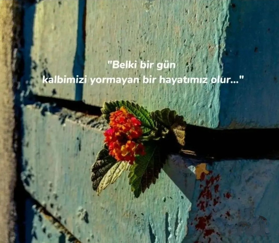 eDDauLuJan's tweet photo. 🥀Belki de sen hiç yoktun. 
Belki de ben seni kafamdan uydurdum. https://t.co/shgvfT8K71