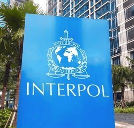 pedrorousseff's tweet photo. 🚨URGENTE! PF QUER colocar Flávio Bolsonaro na LISTA DA INTERPOL para rastrear R$ 61 MILHÕES do filme "Dark Horse"! 

O rachadinha pode entrar na DIFUSÃO PRATEADA, mecanismo criado para LOCALIZAR BENS NO EXTERIOR!

AGORA A INVESTIGAÇÃO VAI SER INTERNACIONAL! 🌏🚔💰 https://t.co/JuaxSOeWOf