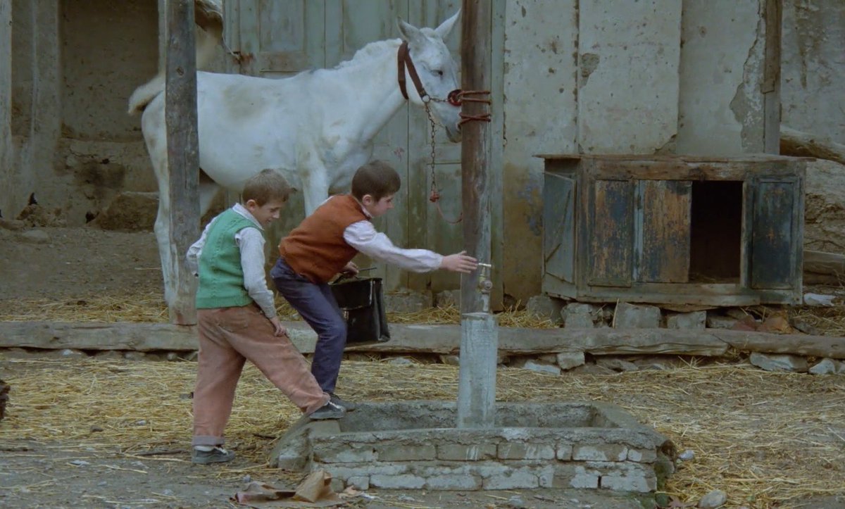 IC11O1's tweet photo. white horse as a metaphor for childhood innocence and purity https://t.co/Uxrk27hvtu