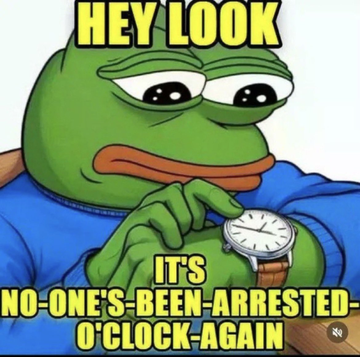HowlingChief tweet media
