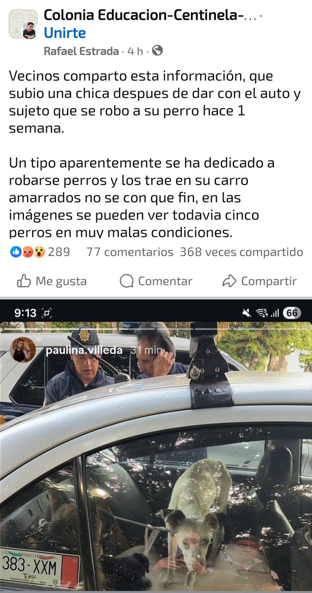 U_PLATEROS's tweet photo. ¡ALERTA! Este sujeto roba perros. Una chica logró recuperar al suyo y le quitaron los que están en la foto. Están en resguardo y él no fue detenido. Comentan que hoy jueves se robó una perrita salchicha. Opera en la Alcaldía Coyoacán. https://t.co/pZGeHMSJ9A