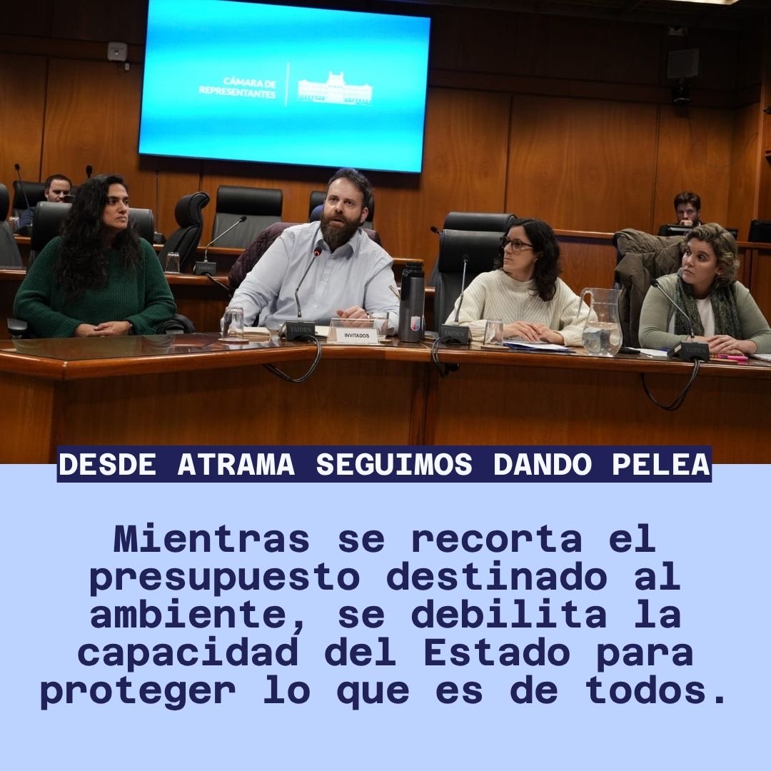 Atrama_Uy's tweet photo. ¡Defendiendo el Ambiente y los Derechos Laborales!

ATRAMA en acción: resistimos, negociamos y seguimos luchando por un futuro mejor.

@COFE_PITCNT 
@MAmbienteuy 
@mef_Uruguay https://t.co/g6wQo3vYkG