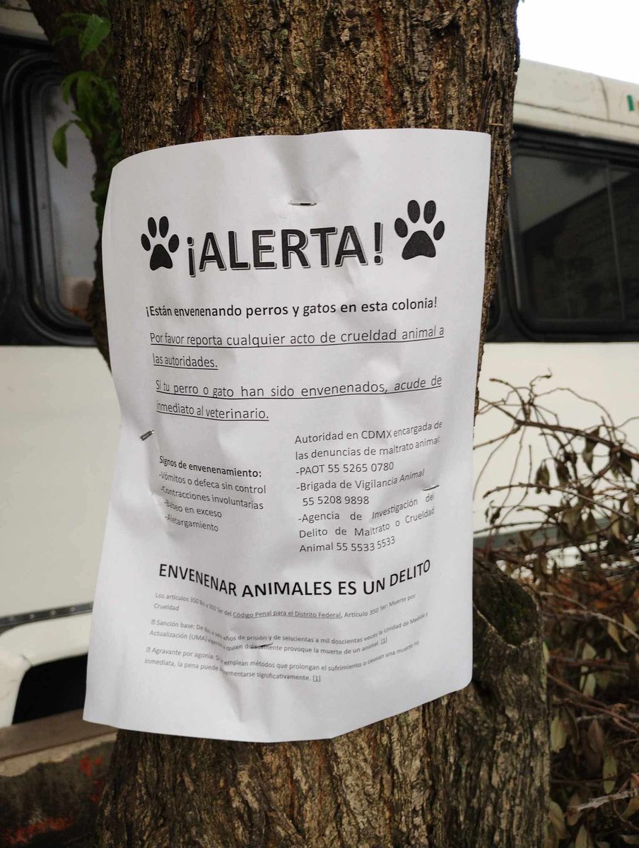 iztacalconews's tweet photo. ATENCIÓN! Nos reportan que estos papeles estan en IMPI Picos 

Cuiden a sus animales de compañía y si ve algo sospechoso reportelo inmediatamente. 
El maltrato animal es un delit0 https://t.co/57jx52iY6z