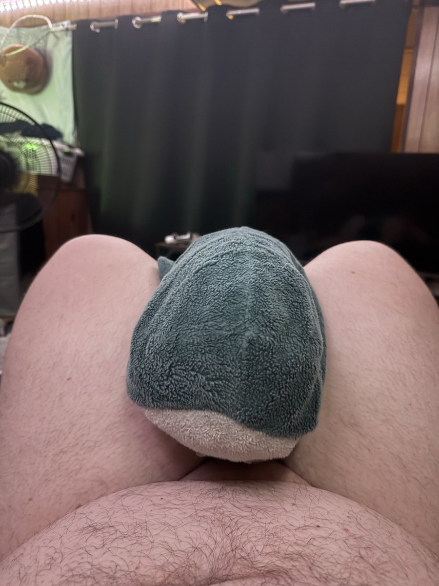 SourMello's tweet photo. I was encouraged to share a pic i wouldnt normally >.< 

#lewdtuber #nsfw #thighs #blahaj https://t.co/WCLAgF0McN