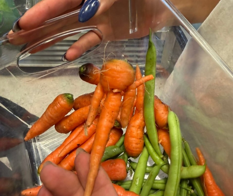 HendricksChapel's tweet photo. 🥕 🍅 🥦 Meet Maria Buscaglia G'27 and Darika Djusupova '28, this summer's student managers at Pete's Giving Garden! Since 2019, the garden has produced over 600 pounds of food for students facing food insecurity. Read their full story to learn more ➡️ https://t.co/ewe6wtMxJj https://t.co/sOuu3sPuNd