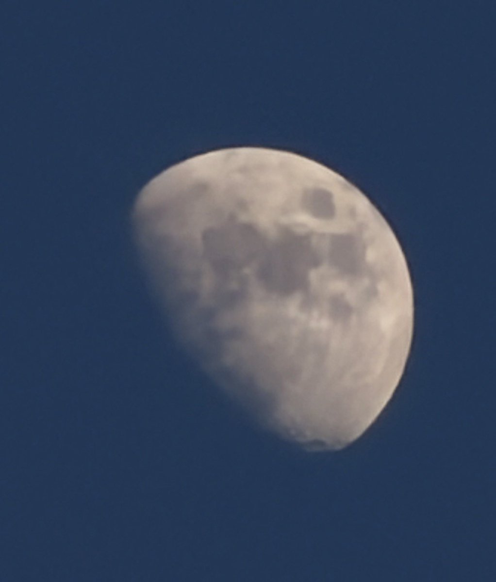 Yasin1859's tweet photo. @GodPypi @Shichou96 J’ai pris vite fait un jour c’est ça le zoom du 17 pro, en terme de zoom c’est du x50 donc encore derrière Samsung https://t.co/tATtJo8kh3