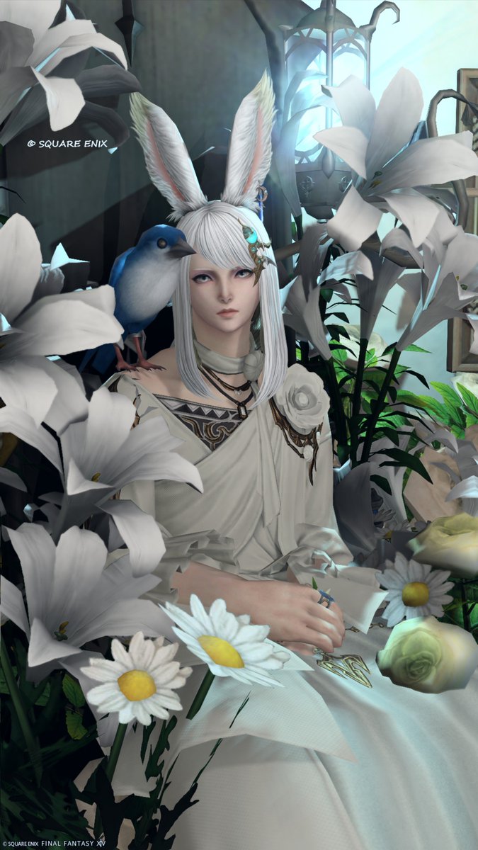 dg_ucl's tweet photo. ๐บ๐๐๐ ๐๐๐๐๐๐๐๏ธ๐น
#ST_SOGNO
#FF14โฏโฏ#ใใฏใฆใต https://t.co/4lhWSLcQ3L