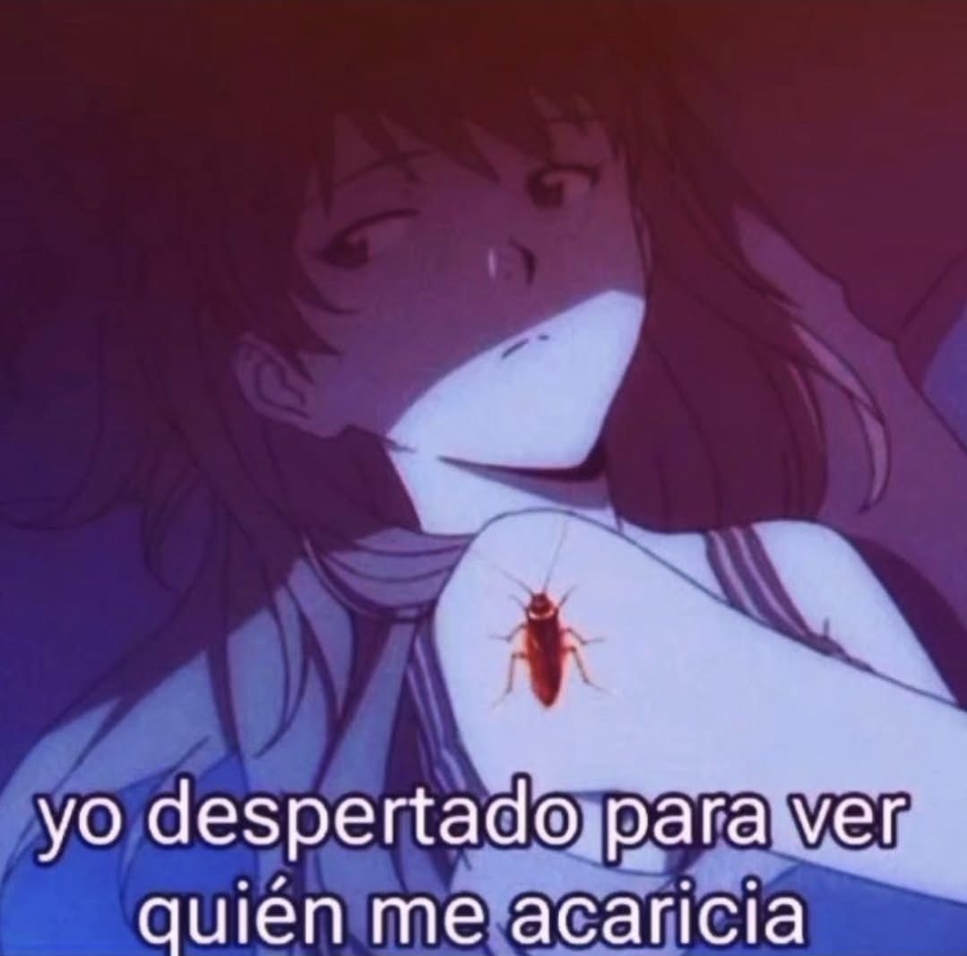 wikipistacho's tweet photo. https://t.co/embEcFlxy0