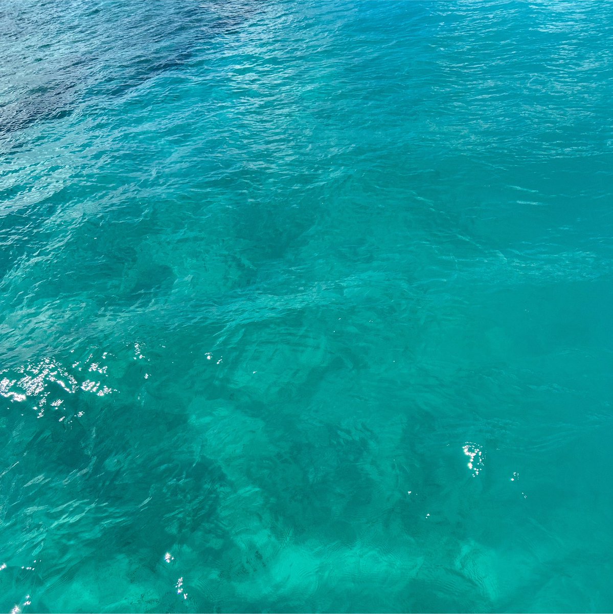yuinocamera's tweet photo. すごく綺麗な海でした𓇼𓈒𓐍

 #水納島 https://t.co/kEIMFjbete