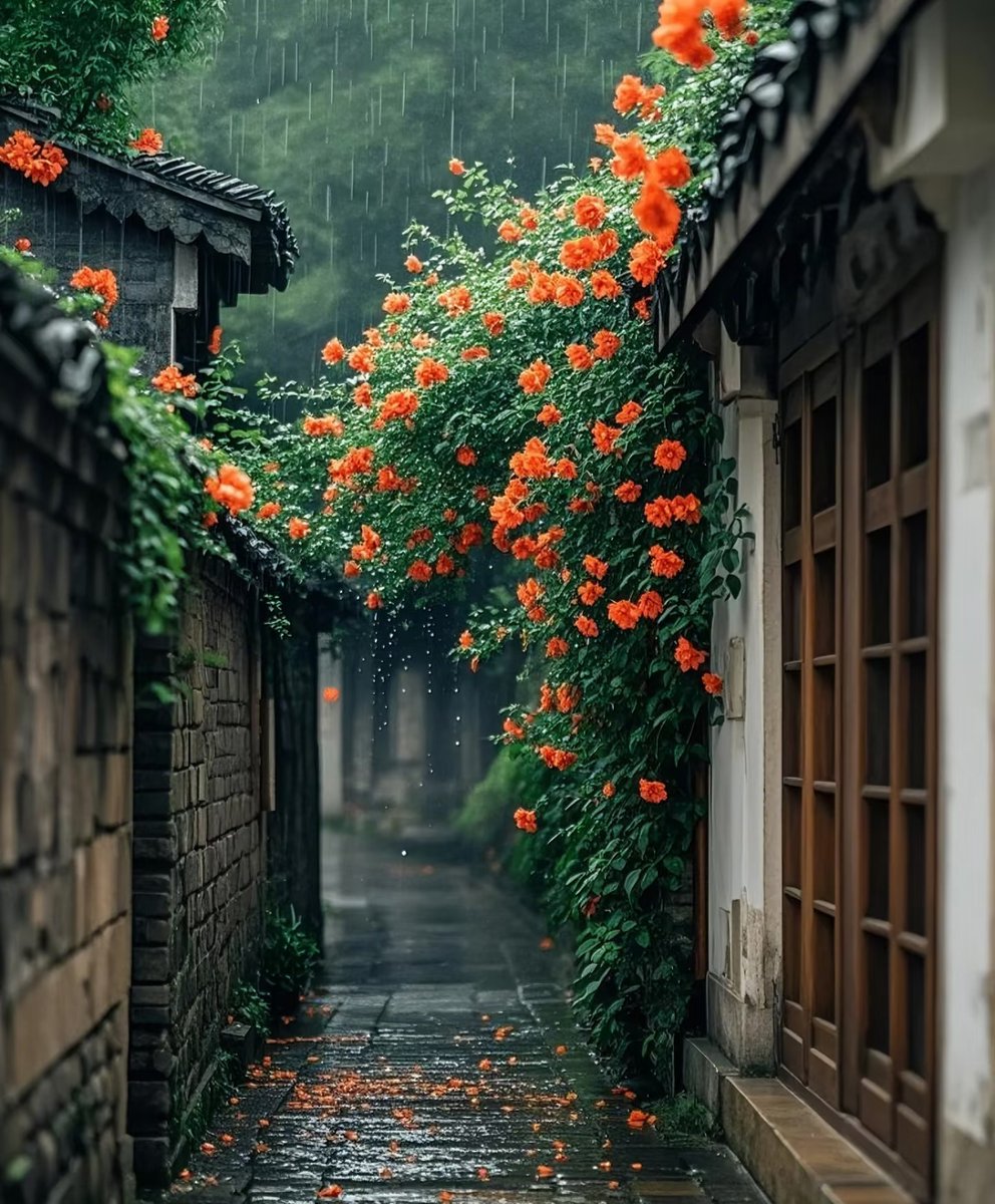 x_m6h's tweet photo. 踩过青石板的雨巷，风卷着桂花香扑满怀，这趟小城漫游比诗里还软。， https://t.co/yt2QNMDPuI