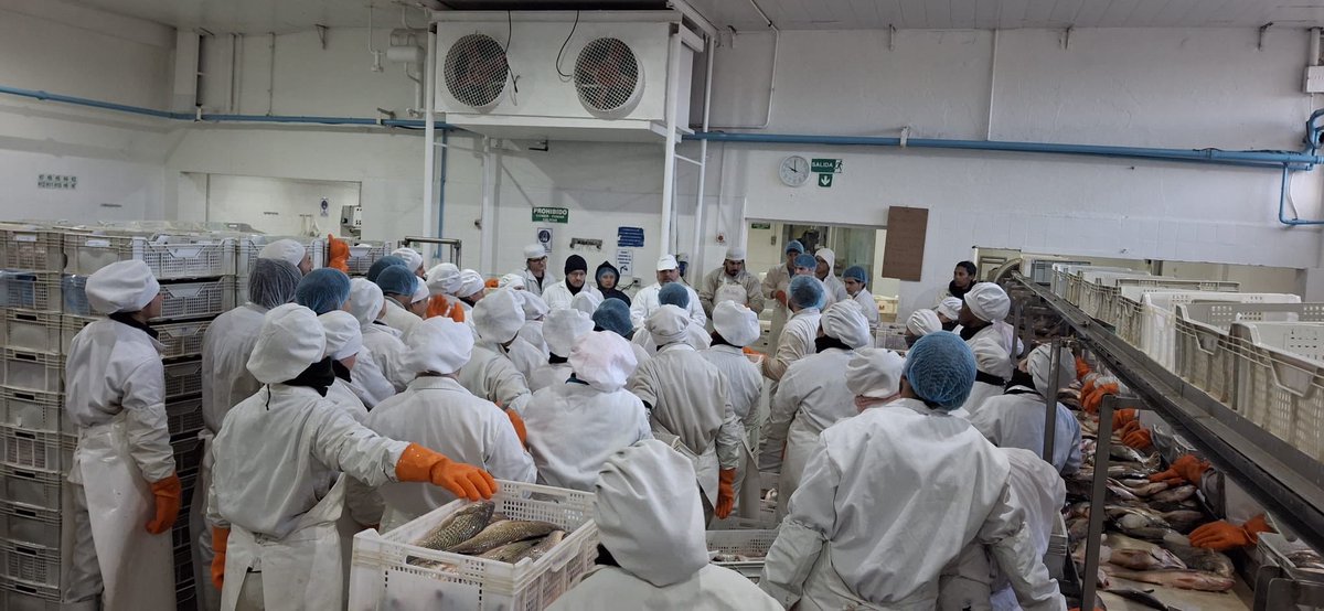 yucayo's tweet photo. Fueron muchas las veces que nos reunimos en este mismo espacio para dar malas noticias, para hablar de paros, de posibles cierres, de sueldos o licencias impagas.
Hace un año que los trabajadores de plantas no tienen ajustes salariales, atrapados entre la falta de representación en los Consejos de Salario y la de un decreto del Ejecutivo que no llega.
Esta situación no daba para más.
Hoy les notificamos la decisión de nuestra empresa de aplicar unilateralmente ajustes salariales, con efecto inmediato.
Hoy les contamos de nuestros planes de crecimiento, de una linea de proceso de congelado, de otra de eviscerado, de inversiones que redundarán en mayor productividad y mejores condiciones de trabajo.
Hoy (y cada día) demostramos que con paz, con compromiso, con diálogo, el éxito común está garantizado.
Hace poco éramos 70. Ahora somos 200 y seremos más.
Hace poco rondaban las sombras del cierre y los despidos, hoy brillan planes de crecimiento.
Una vez más la Pesca demuestra que juntos podemos, que se hace camino al andar, porque estamos en el mismo barco y esto recién comienza. 🇺🇾🐟👷👷‍♂️💪🏼

#Uruguay #LaPescaNoPara #LaPescaSomosTodos