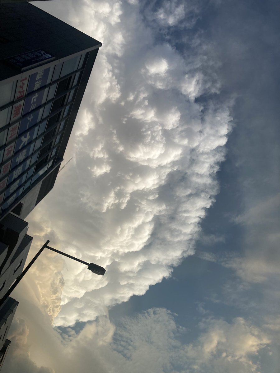 honobonotai_1's tweet photo. 昨日の夕立ち
雲の去り際
綺麗だったな https://t.co/X1ykLoMxm3