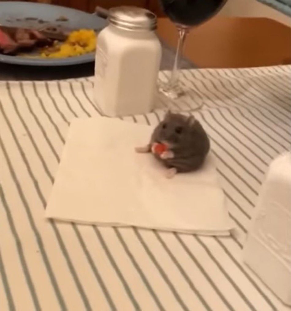 ichewthings's tweet photo. first date feeling nervous https://t.co/fdK4p8Yp5x