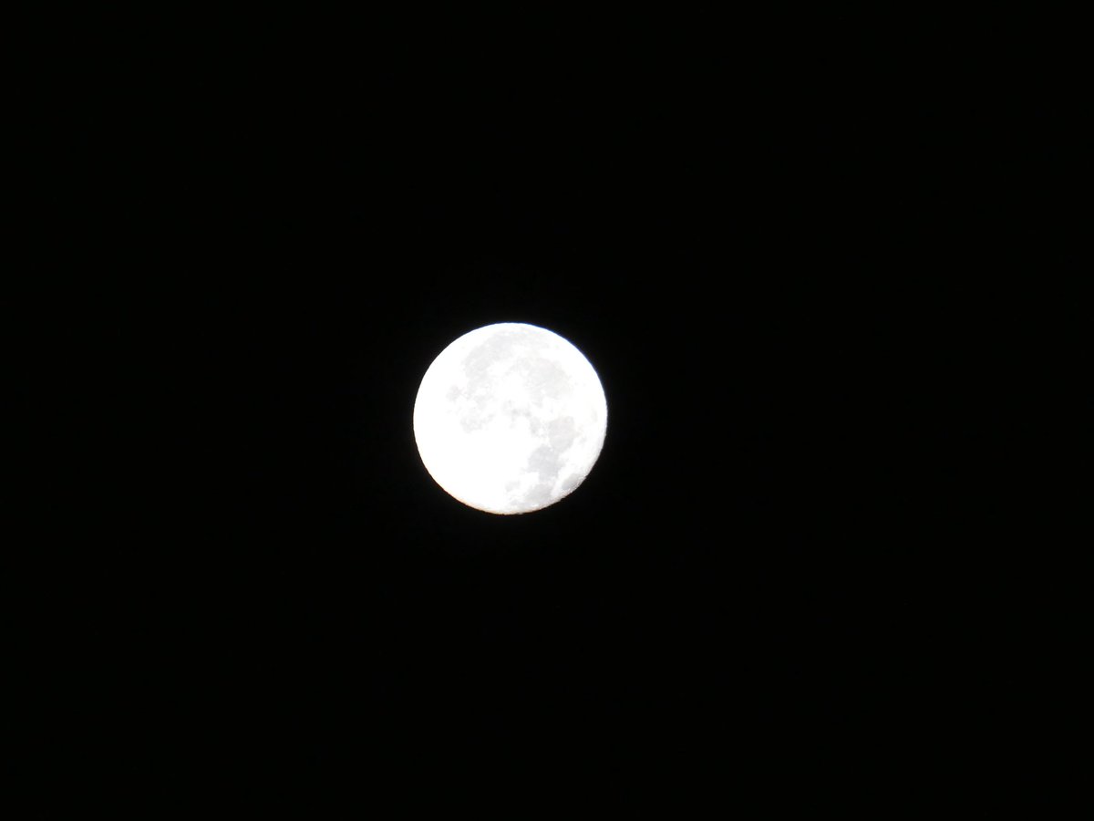 x_youkey's tweet photo. #コンデジ
#Lumix
#tz99 https://t.co/X4q9Jgz8w4