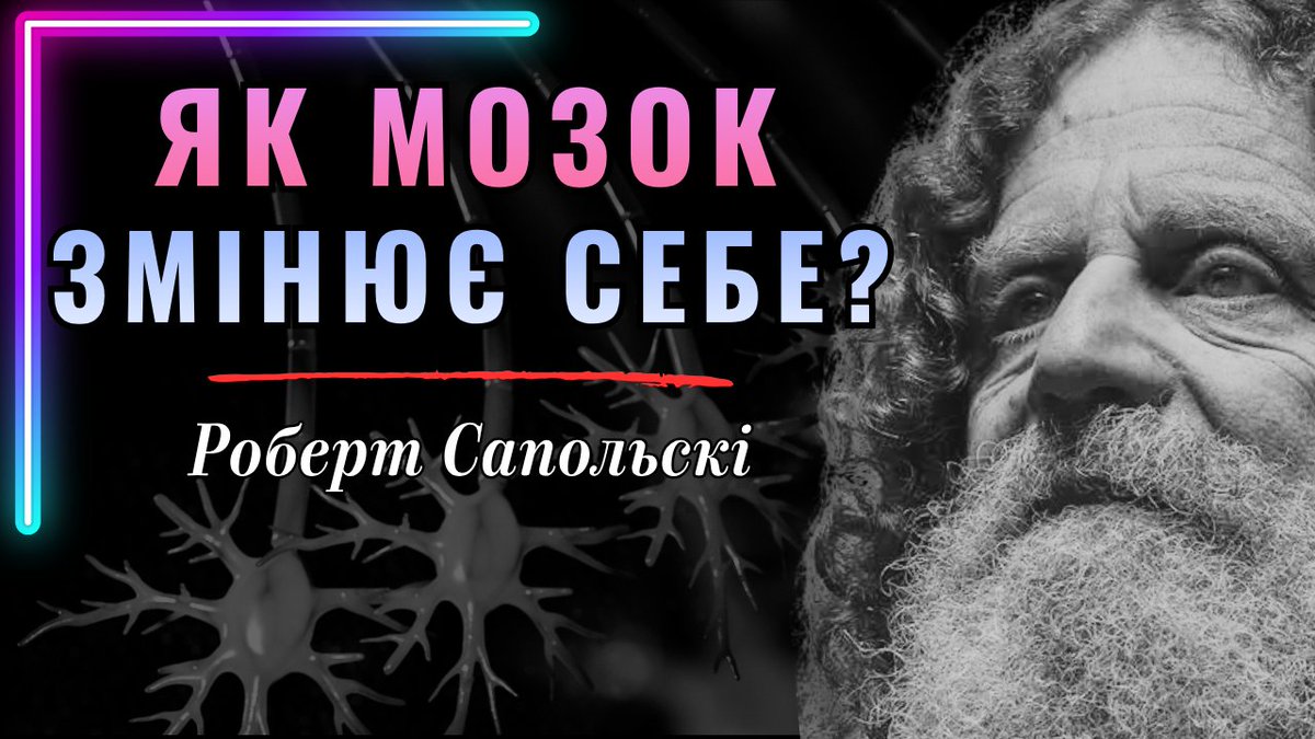 UA_Science's tweet photo. 🧠 Чому один і той самий гормон може діяти по-різному? Як рецептори визначають роботу мозку? Чому стрес впливає на пам'ять, а ГАМК — на тривожність?

Все це ви дізнаєтесь у новій лекції https://t.co/NM9UzVrfeK https://t.co/UxVDbiM4v3